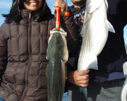 "Fishing For Lake Lanier Striped Bass"